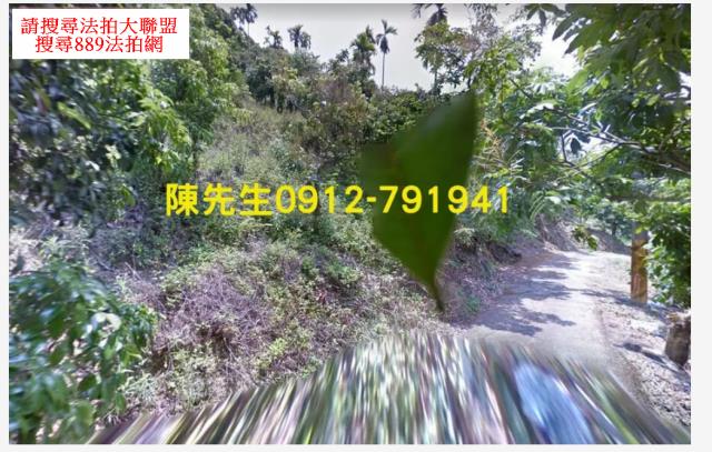 台中太平法拍林地-6
