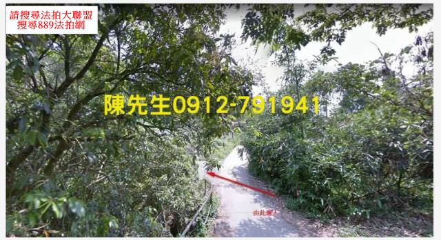 東勢山坡地法拍-11