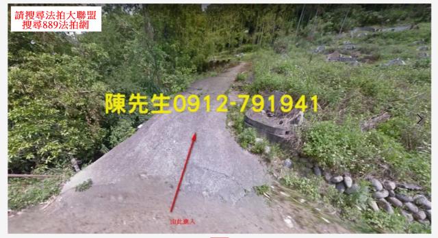 東勢山坡地法拍-8