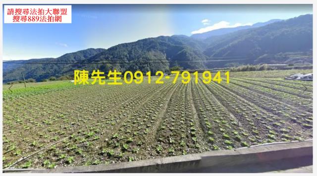 宜蘭農地法拍-1