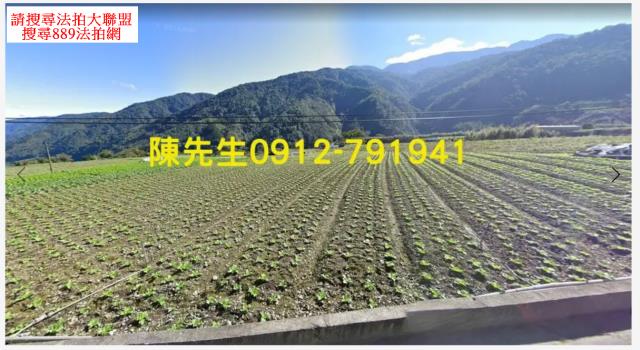 宜蘭農地法拍-8