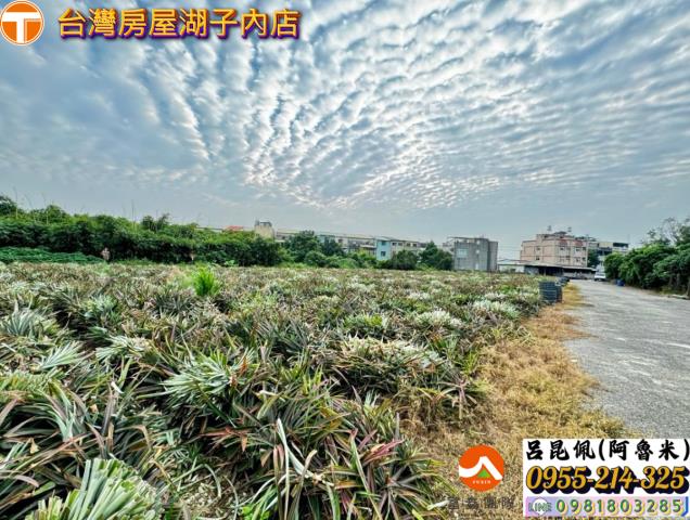 嘉義竹崎農地-1