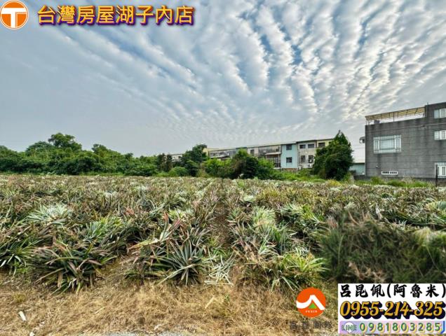 嘉義竹崎農地-5