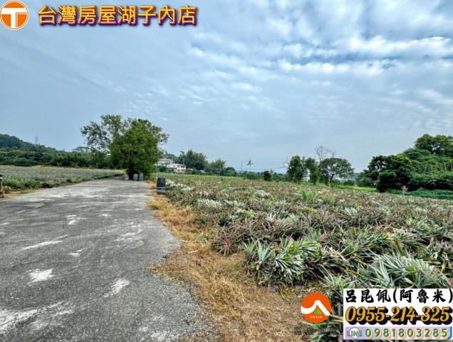 嘉義竹崎農地-6