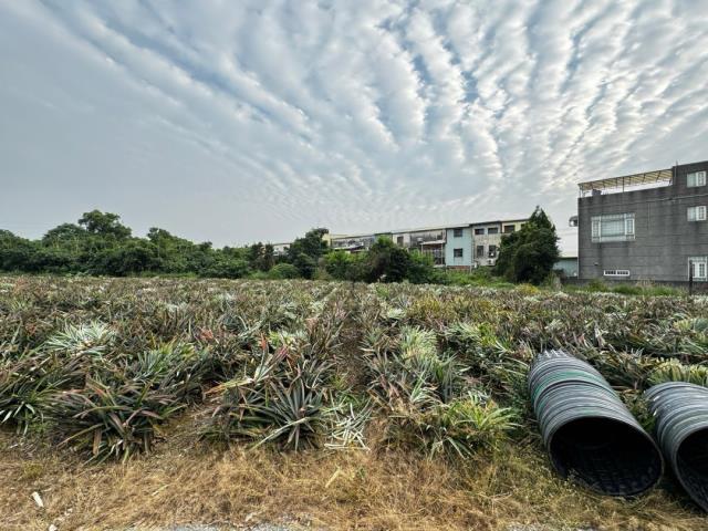 嘉義竹崎農地-1