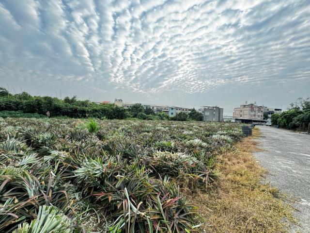 嘉義竹崎農地-2