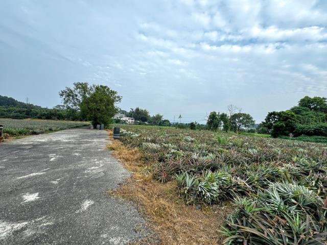 嘉義竹崎農地-6