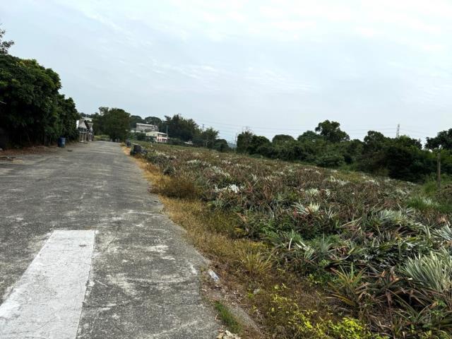 嘉義竹崎農地-8