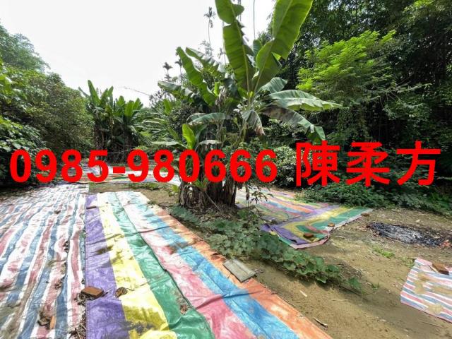 嘉義民雄農地-4