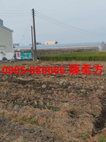 嘉義民雄農地-3