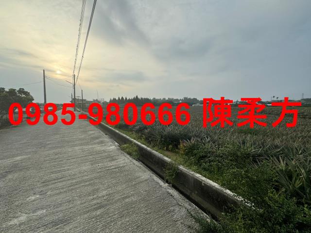 嘉義民雄農地-3