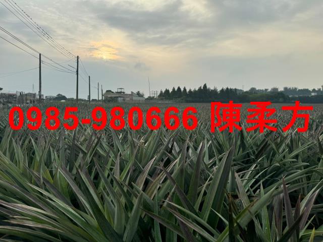 嘉義民雄農地-5