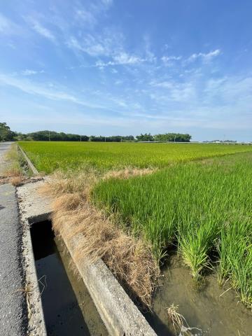嘉義農地-9