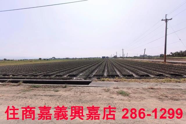 嘉義水上農地-3