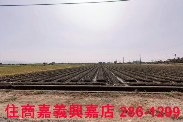 嘉義水上農地-4