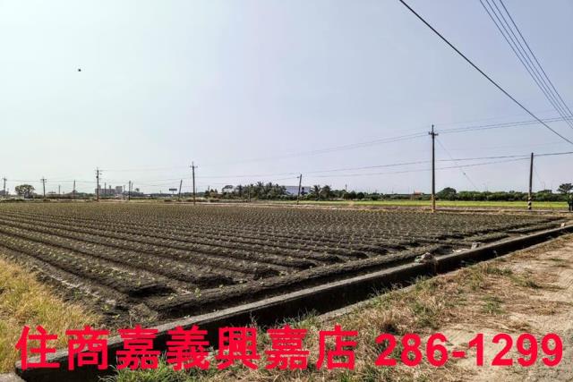 嘉義水上農地-5