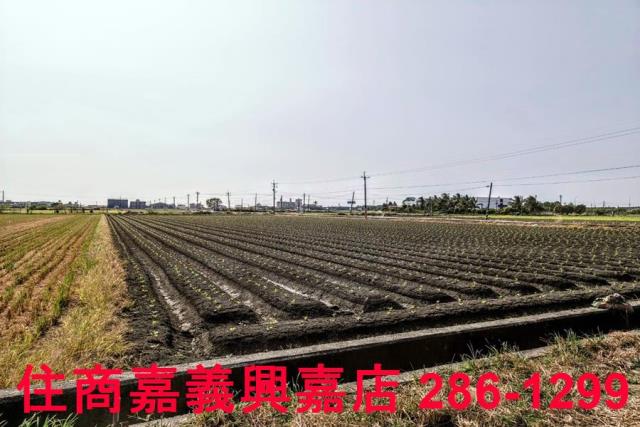 嘉義水上農地-6