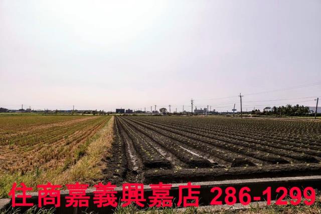 嘉義水上農地-7