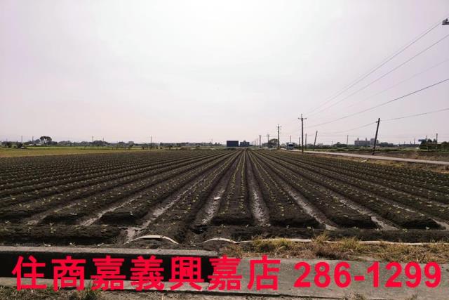 嘉義水上農地-8