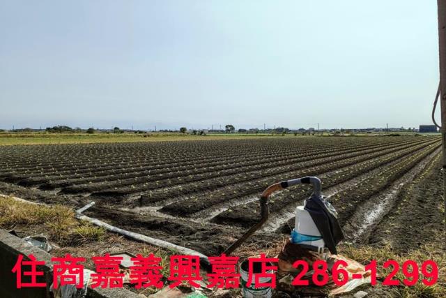 嘉義水上農地-9