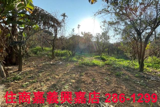 嘉義番路農地-10