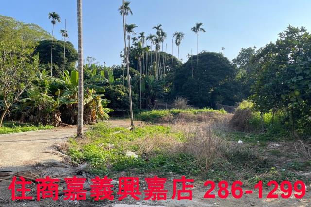 嘉義番路農地-2