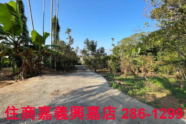 嘉義番路農地-5