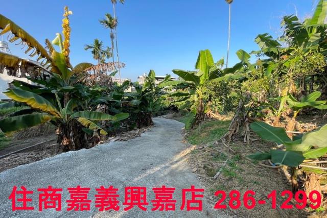 嘉義番路農地-6