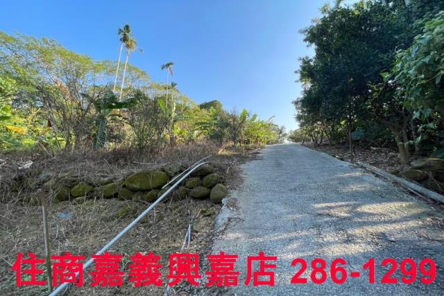 嘉義番路農地-7