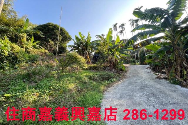 嘉義番路農地-8