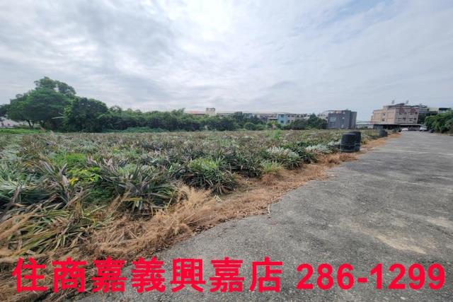 嘉義竹崎農地-1