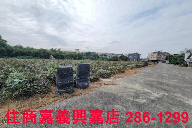 嘉義竹崎農地-3