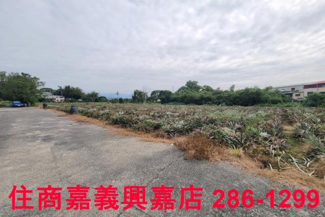 嘉義竹崎農地-4