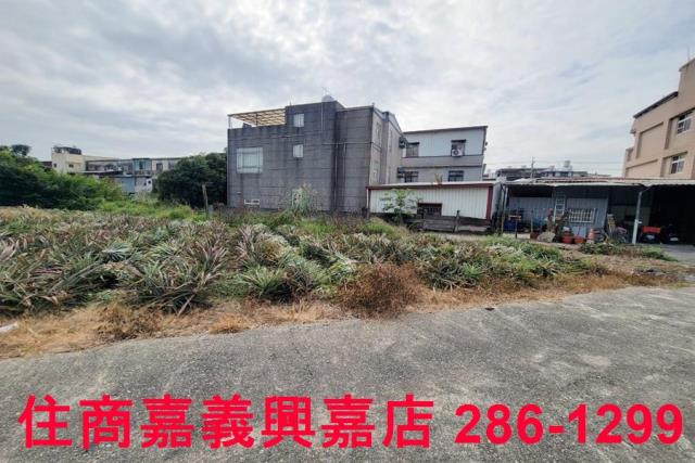 嘉義竹崎農地-6