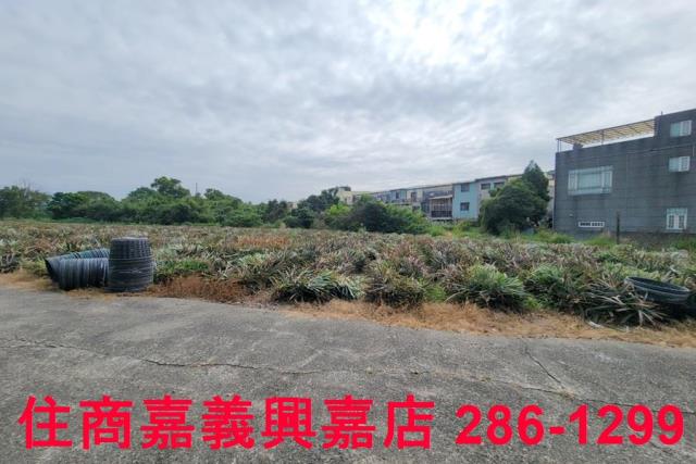 嘉義竹崎農地-7