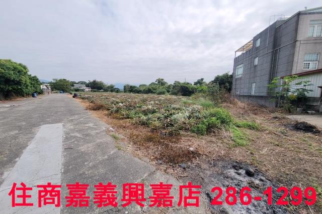 嘉義竹崎農地-8