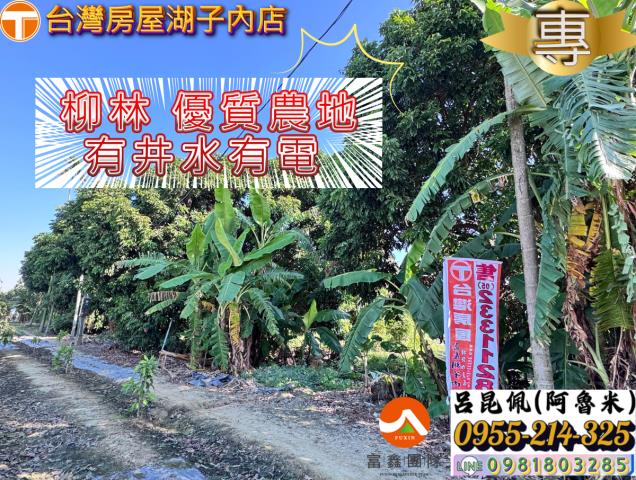 嘉義水上農地-1