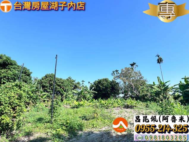 嘉義水上農地-2