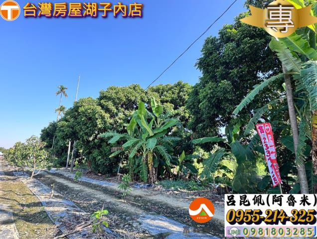 嘉義水上農地-4