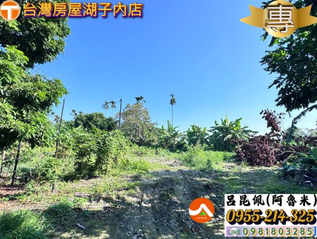 嘉義水上農地-5