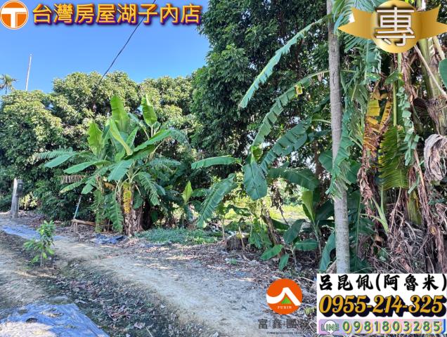 嘉義水上農地-7