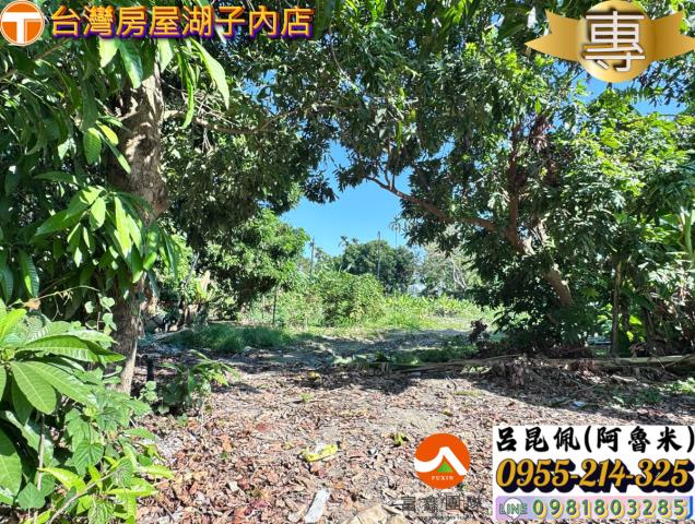 嘉義水上農地-9