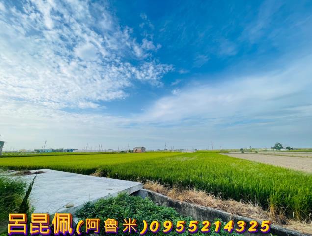 溪口農地-3