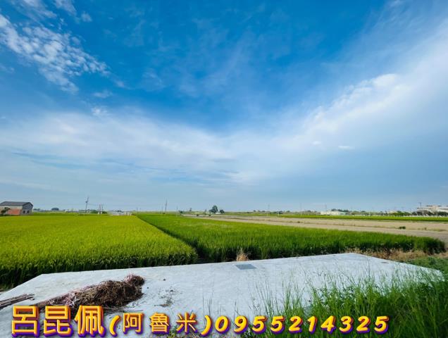 溪口農地-8