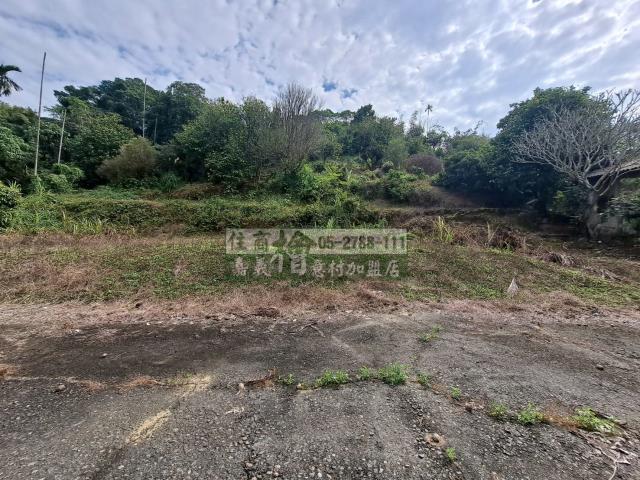 竹崎農地-3