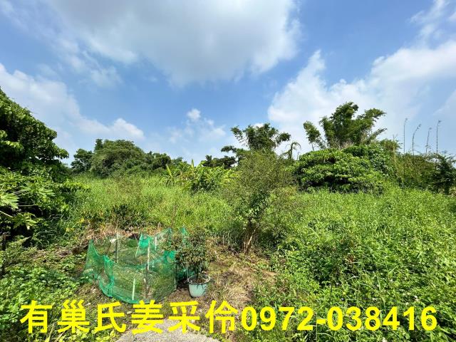 嘉義水上農地-1