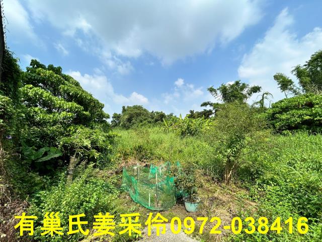 嘉義水上農地-2