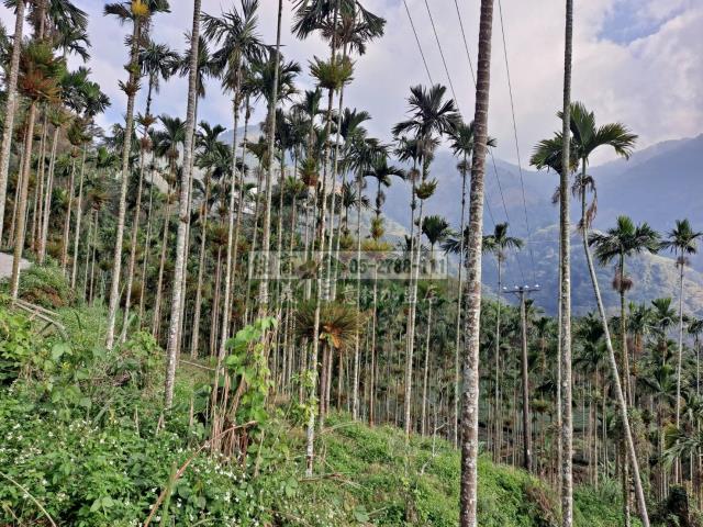 嘉義梅山農地-1