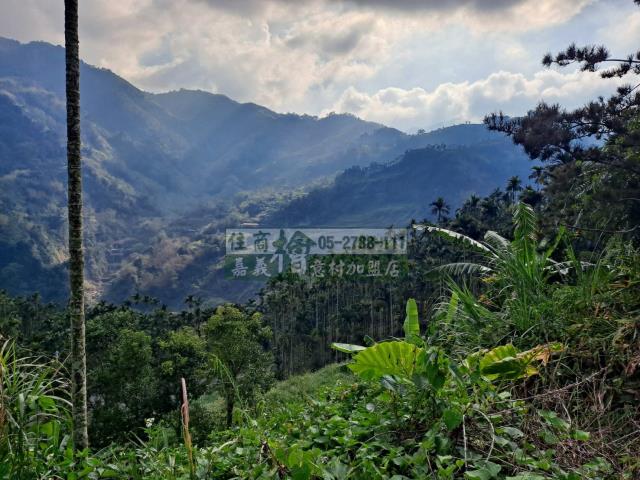 嘉義梅山農地-2