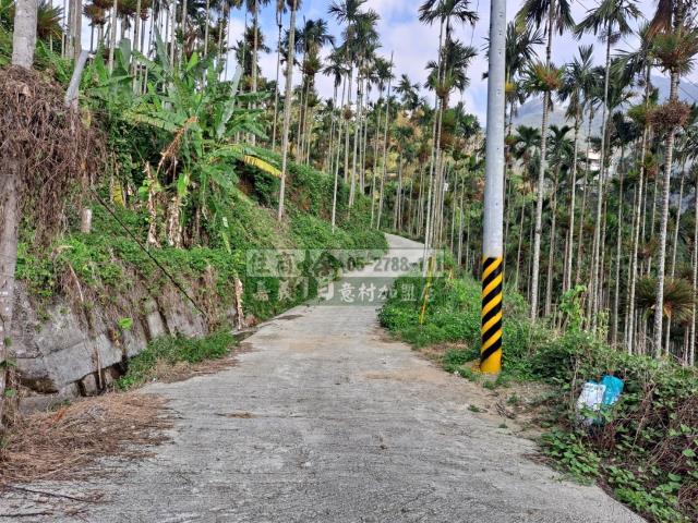 嘉義梅山農地-3